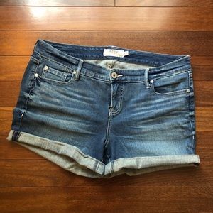 Torrid 6 in Denim Shorts Medium Wash 16
